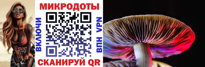 где купить наркотик  Ачинск  Псилоцибиновые грибы Cubensis 